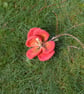 Handmade felted wool flower pin brooch - Image 5