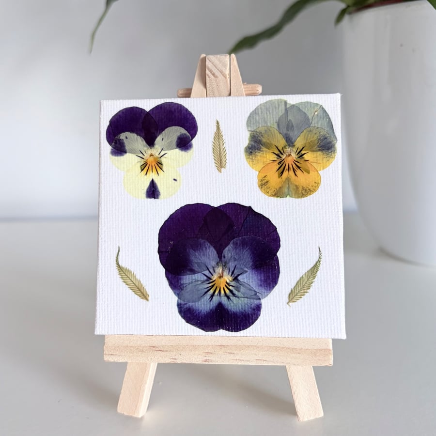 Real Pressed Violas Mini Canvas on Wooden Easel, Miniature Botanical Art