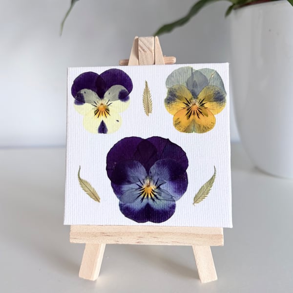Real Pressed Violas Mini Canvas on Wooden Easel, Miniature Botanical Art