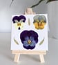 Real Pressed Violas Mini Canvas on Wooden Easel, Miniature Botanical Art
