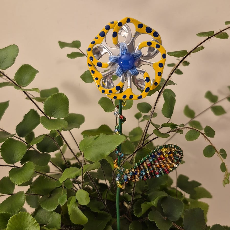 Silver, yellow, blue spotted flower plant companion perfect for pot plants