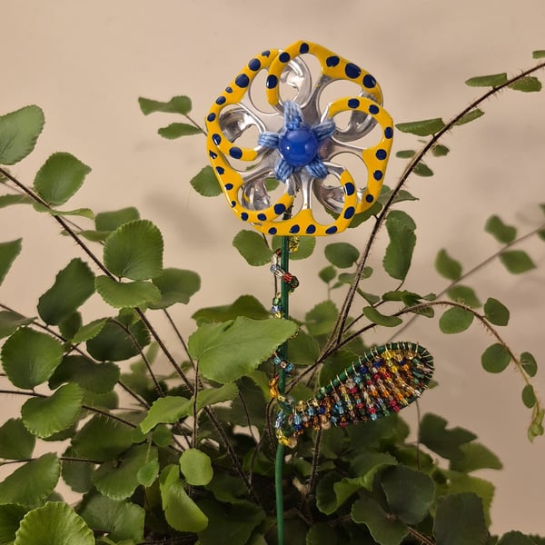 Silver, yellow, blue spotted flower plant companion perfect for pot plants