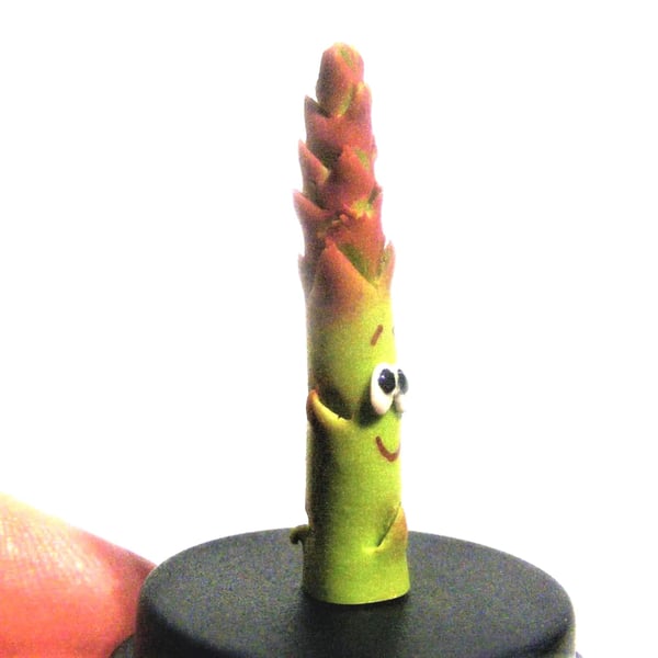 Pet Asparagus, Vegan gift, Vegetarian gift, Vegetable 