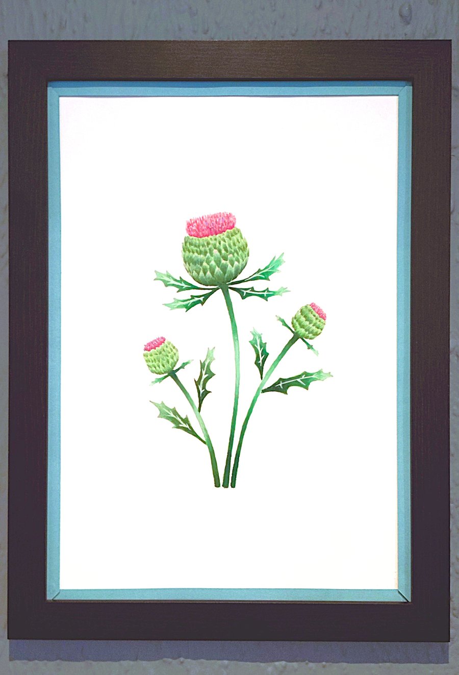 Genuine Made in UK Framed A3 Print Scottish Thistles Stylish Light Blue Border