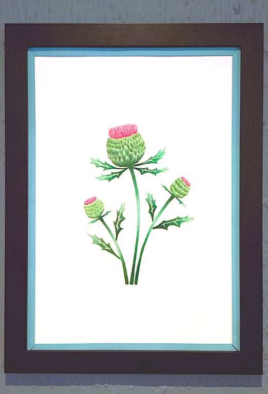 Genuine Made in UK Framed A3 Print Scottish Thistles Stylish Light Blue Border