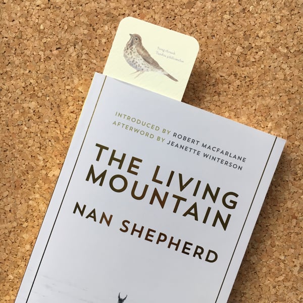 Song Thrush bookmark (Textured card)