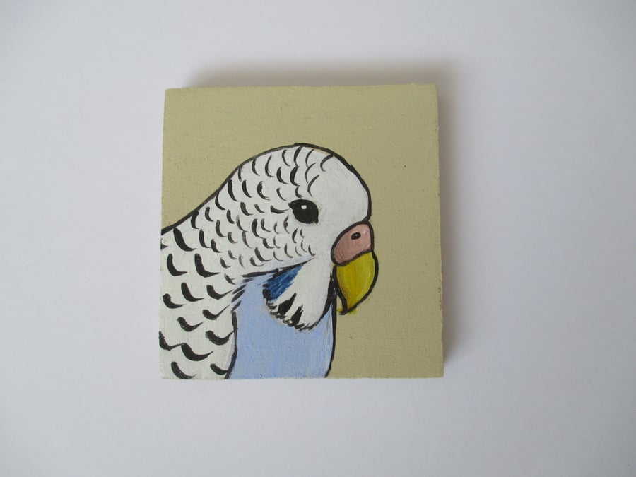 Original Budgerigar Budgie miniature pet bird painting picture 