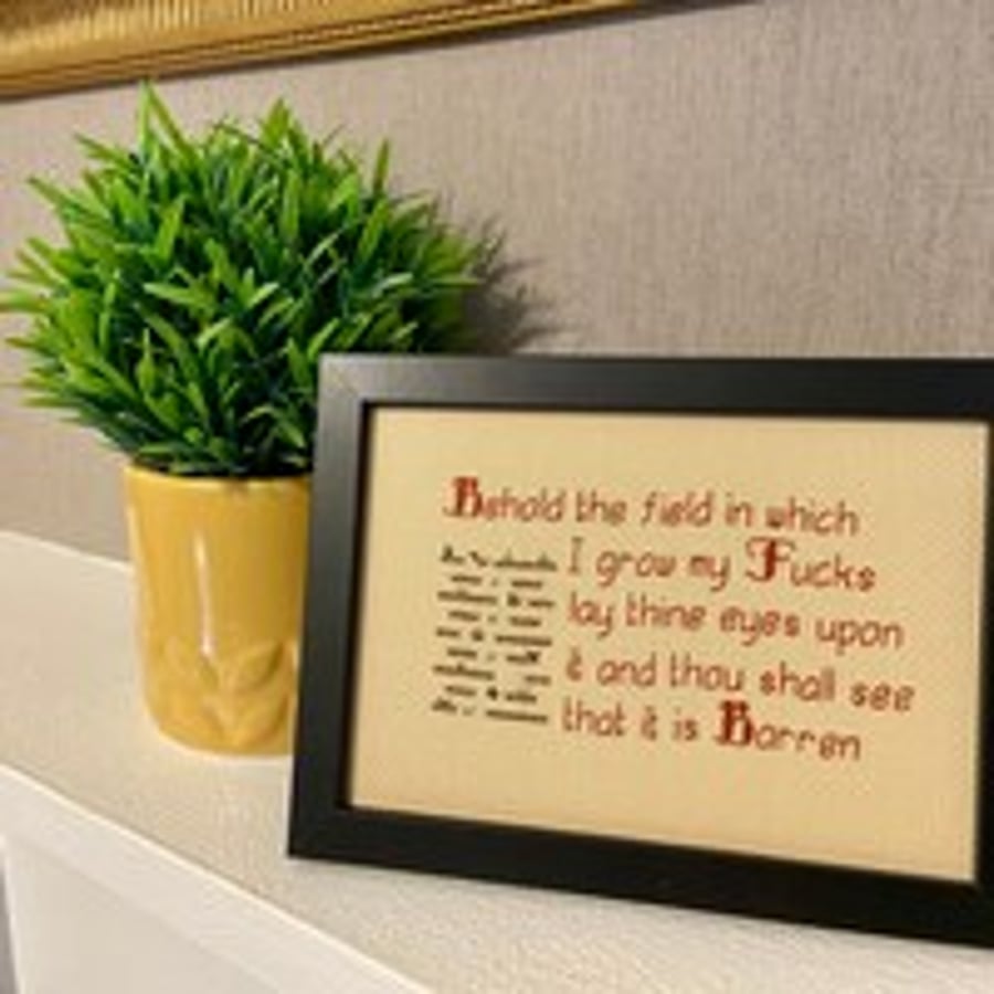 Behold the Field – Funny Sweary Rude Quote Handmade Framed Cross Stitch