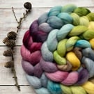 Falkland Spinning fibre 100g Cosy Nook