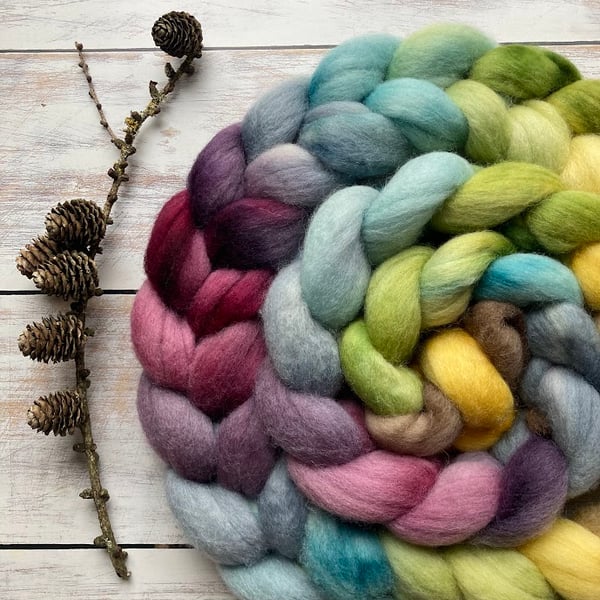 Falkland Spinning fibre 100g Cosy Nook