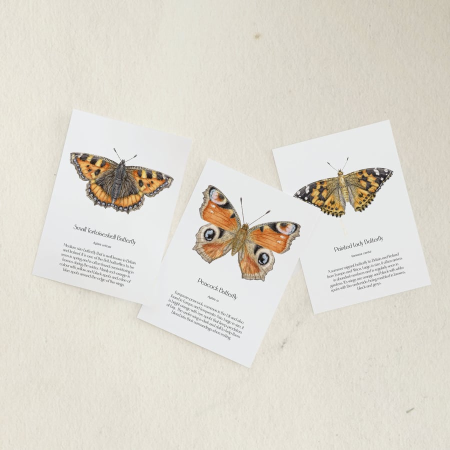 Butterfly greetings cards - pack of 3 blank notelets, A6 size (10.5x14.8 cm) 