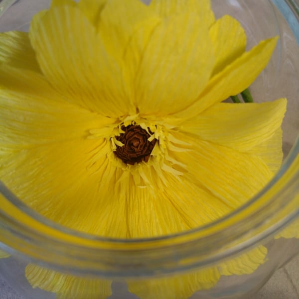Gerbera flower bowl