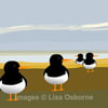 Oystercatchers. Signed print. Digital illustration. Birds. Coast