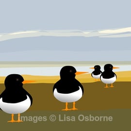 Oystercatchers. Signed print. Digital illustration. Birds. Coast