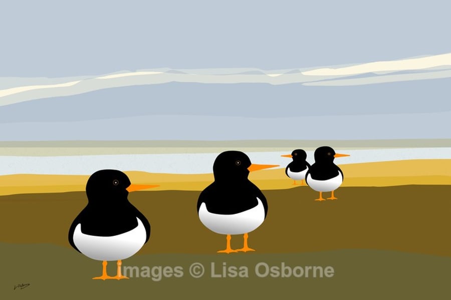 Oystercatchers. Signed print. Digital illustration. Birds. Coast