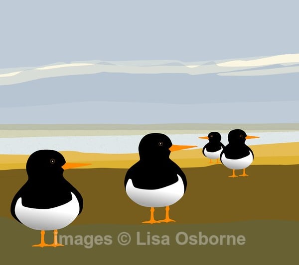 Oystercatchers. Signed print. Digital illustration. Birds. Coast