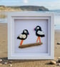 Framed Beach Plastic Atlantic Puffins - Image 1