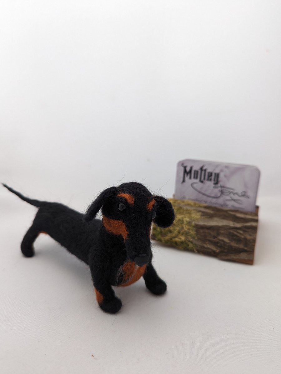 Needle felted Dachshund