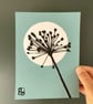 Garden Allium, seed head, shadow painting, handmade art, signed