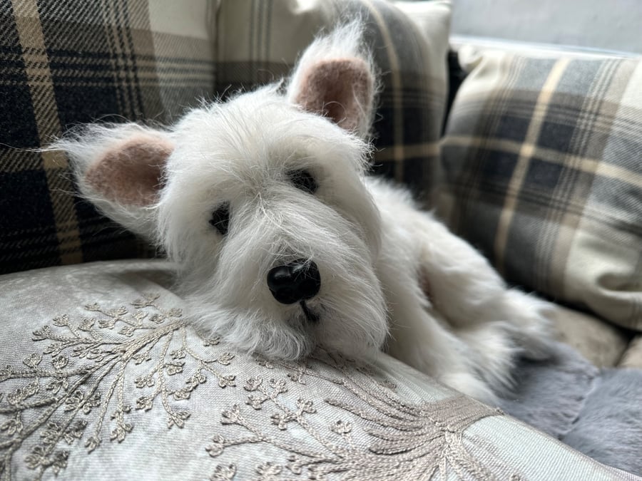 West Highland White Terrier