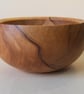 Small Spalted Horse Chestnut bowl - Image 1