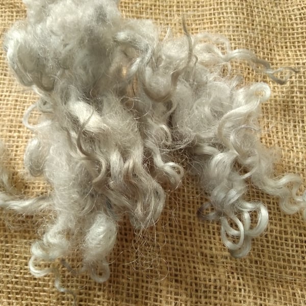 Light silver Grey Valais Blacknose loose curls and wool locks, 10g, felting wool