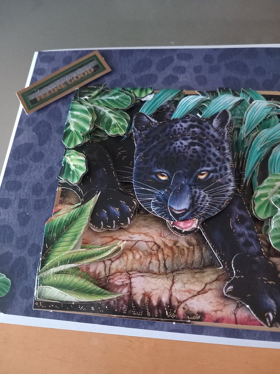 Wildlife birthday card decoupaged puma greetings