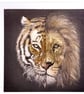 Tiger and Lion Greeting Card – Blank Inside Big Cat Artwork