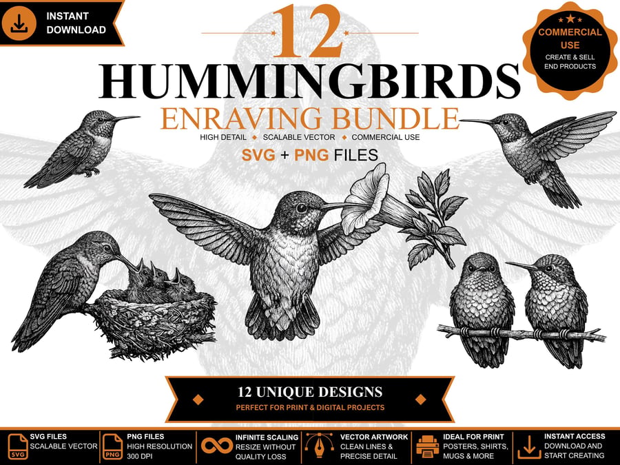 12 Vintage Hummingbird Engraving SVGs Hummingbird Clipart Bundle (Digital Downlo
