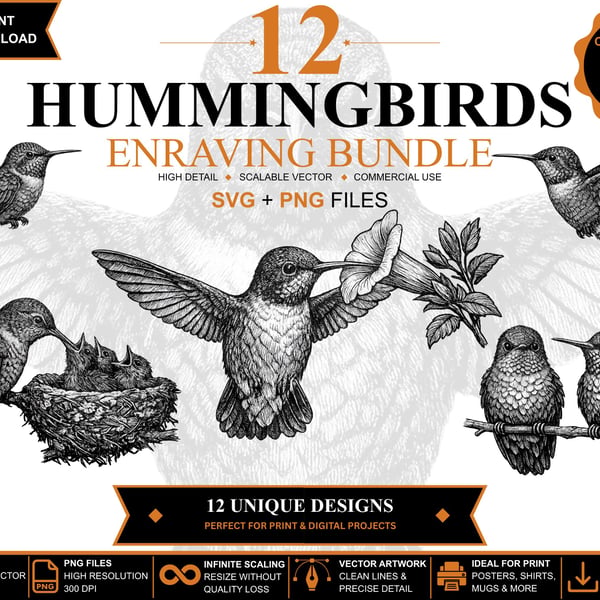 12 Vintage Hummingbird Engraving SVGs Hummingbird Clipart Bundle (Digital Downlo