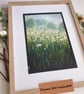A Patch of Oxeye Daisies original oil pastel painting, floral landscape wall art - Image 5