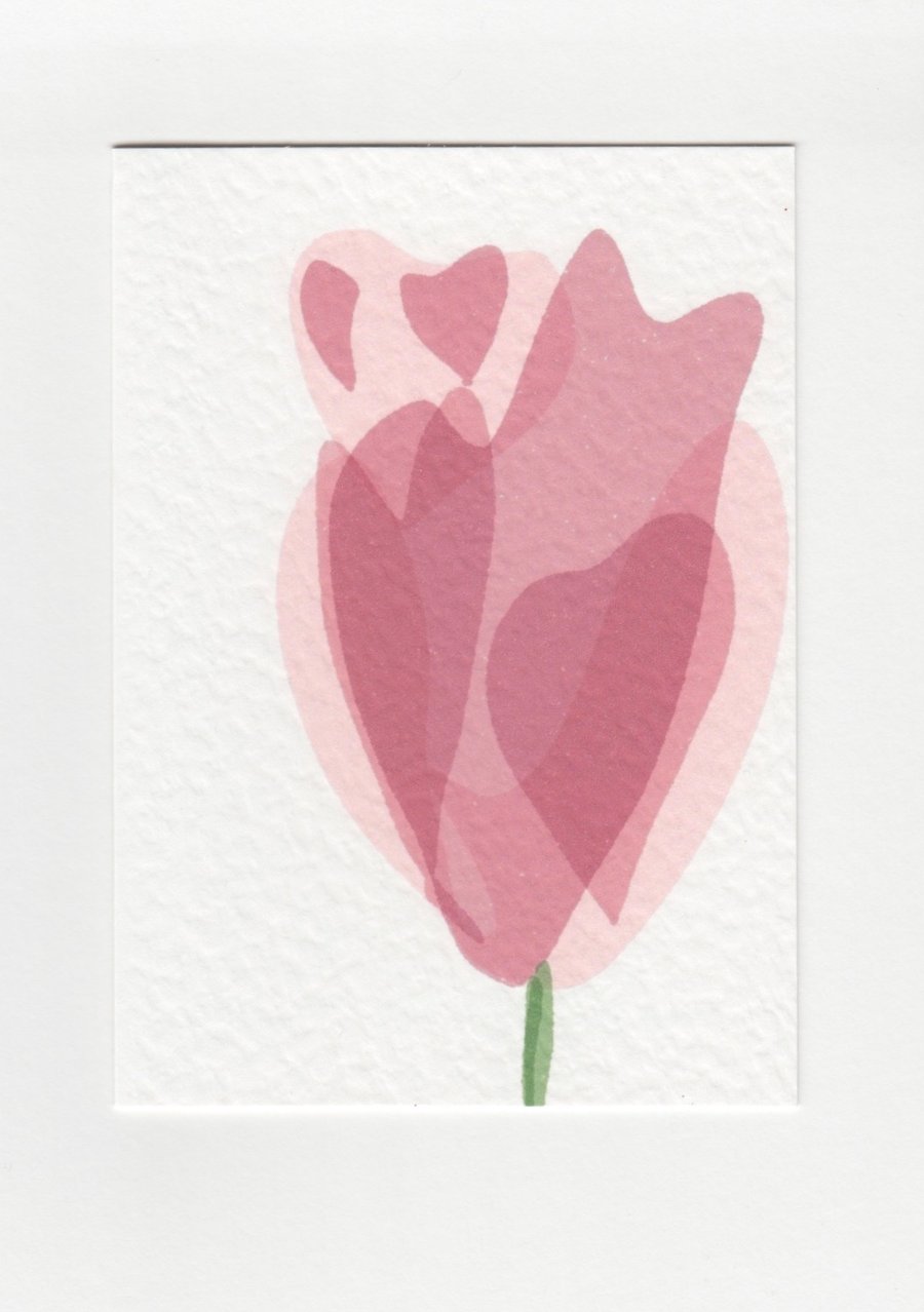 Pink Tulip Print Greetings Card 