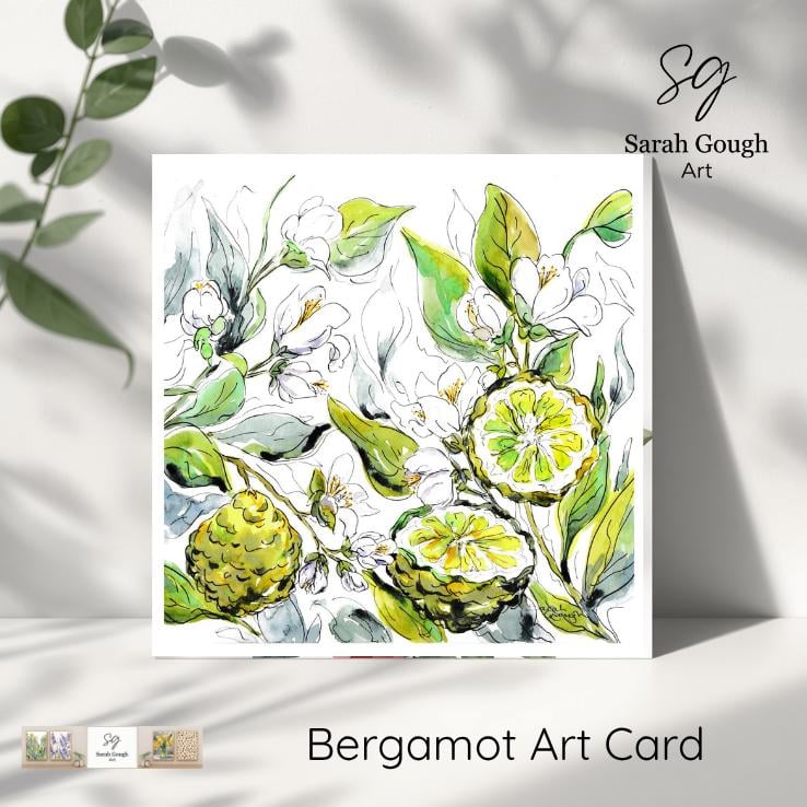Bergamot - Art Card -Blank Greeting Card - Essential Oil Series with Envelope