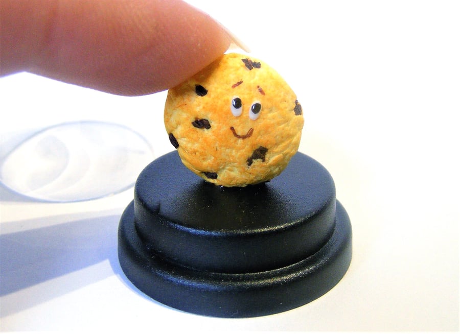 Pet Cookie, Pet choc chip cookie, Pet biscuit