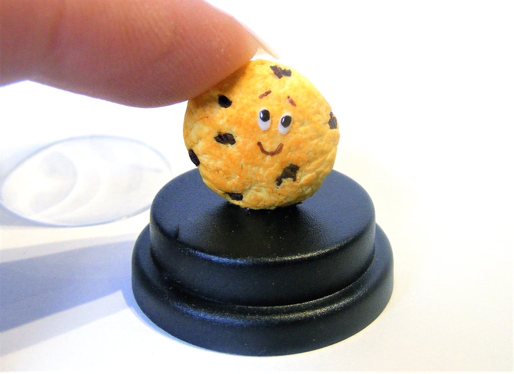 Pet Cookie, Pet choc chip cookie, Pet biscuit