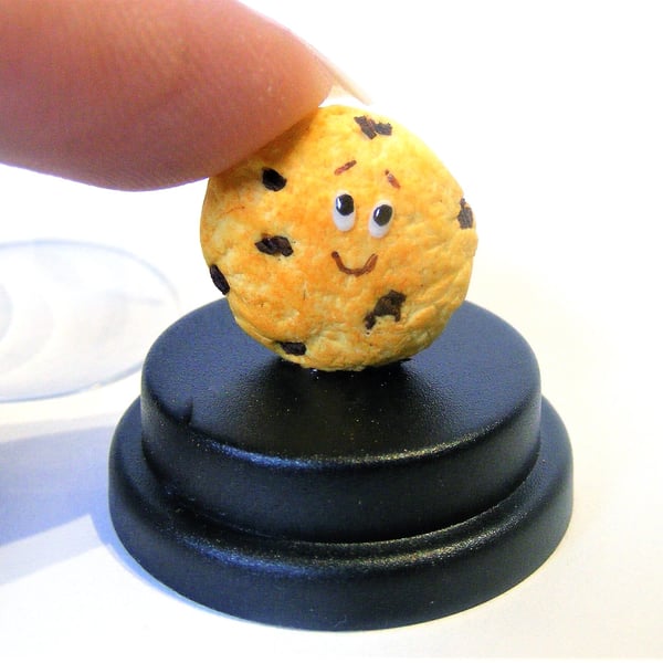Pet Cookie, Pet choc chip cookie, Pet biscuit