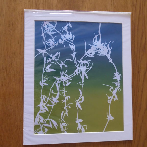 Willow Print from Original Photogram - White mount to fit 10x12 inch frame 