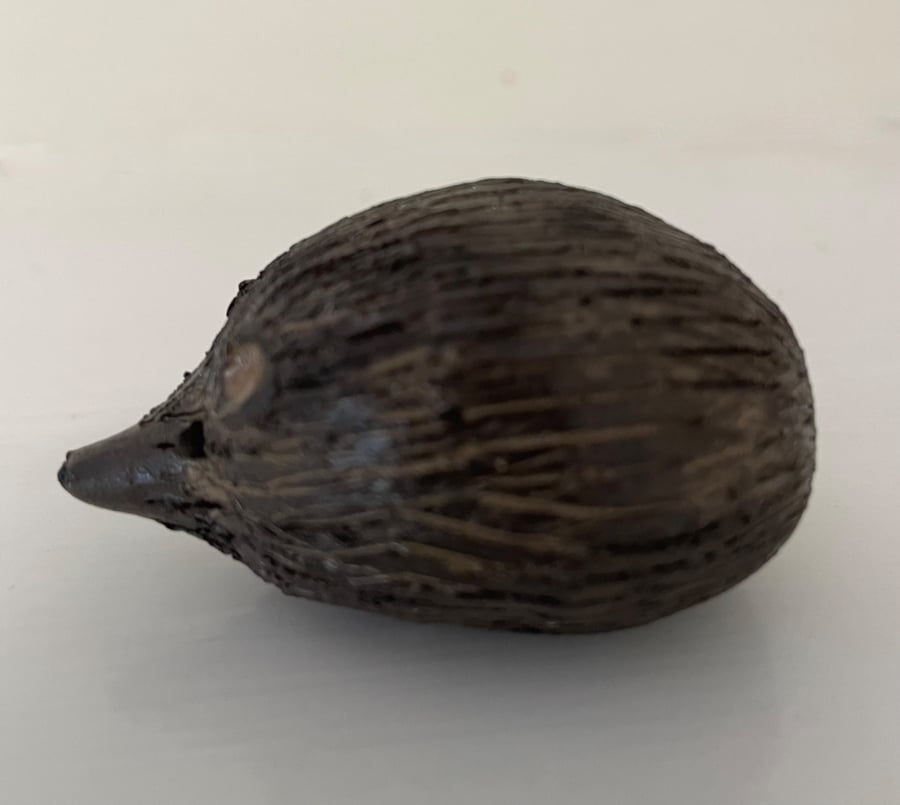 Hedgehog