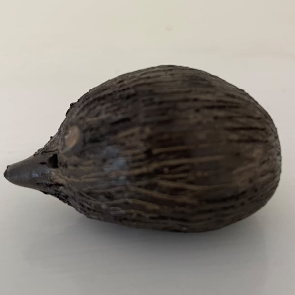 Hedgehog