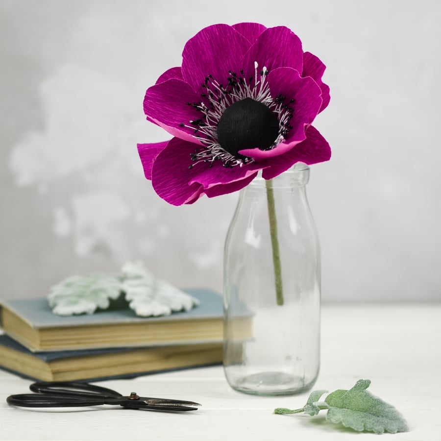 Fuchsia Pink Paper Anemone 