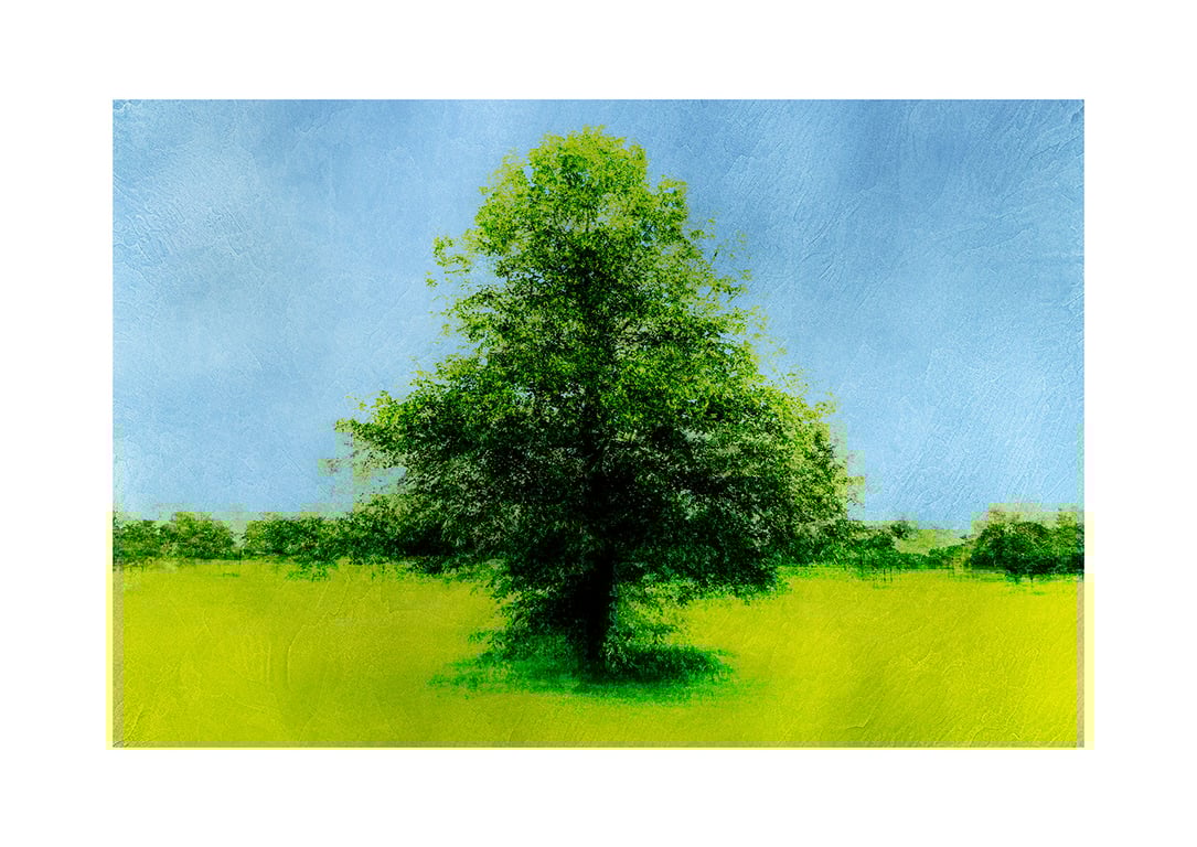 Tree Art Print on Fine-Art Paper A4 and A3 Sizes