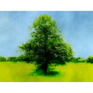 Tree Art Print on Fine-Art Paper A4 and A3 Sizes