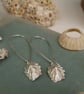 Silver Shell Earrings - Limpet Shell Long Earring - Nautical Jewellery - Image 4
