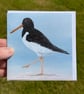 Oystercatcher Notecards (set of 6)