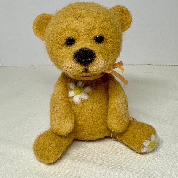 Daisy Bear
