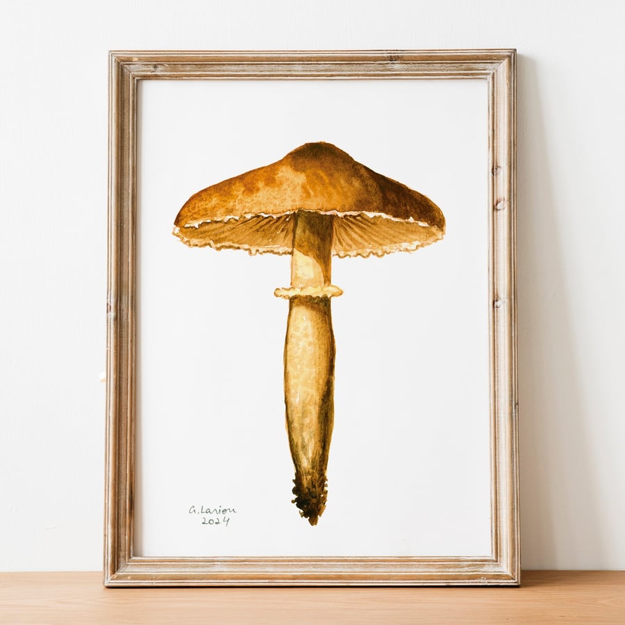 Earthy Powdercap A5 Inkjet Print