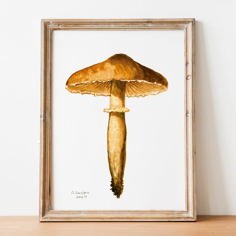 Earthy Powdercap A5 Inkjet Print