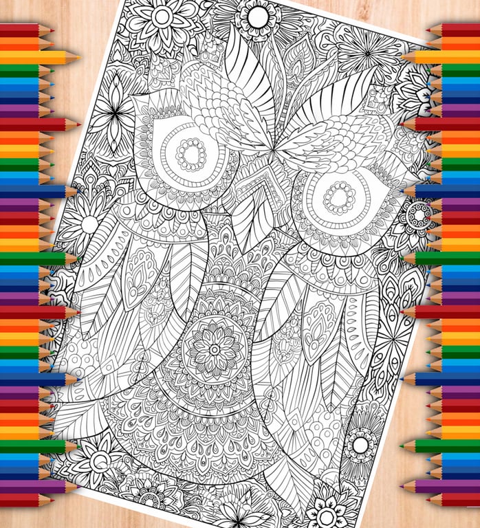 Digital Colouring Pack - Owls