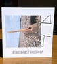 The Shark; 13.5 cm square greetings card, blank inside