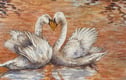 Birds of prey, wildlife and nature